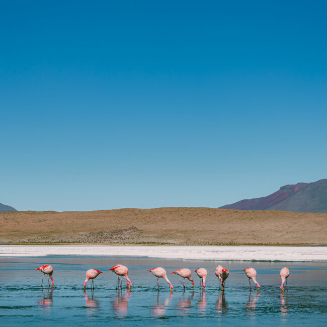 Uyuni, Bolivia