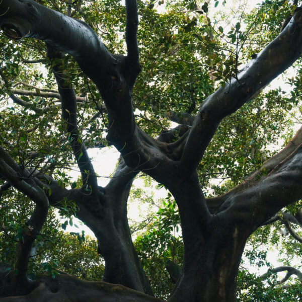 tamatam-andaluzia-2-2