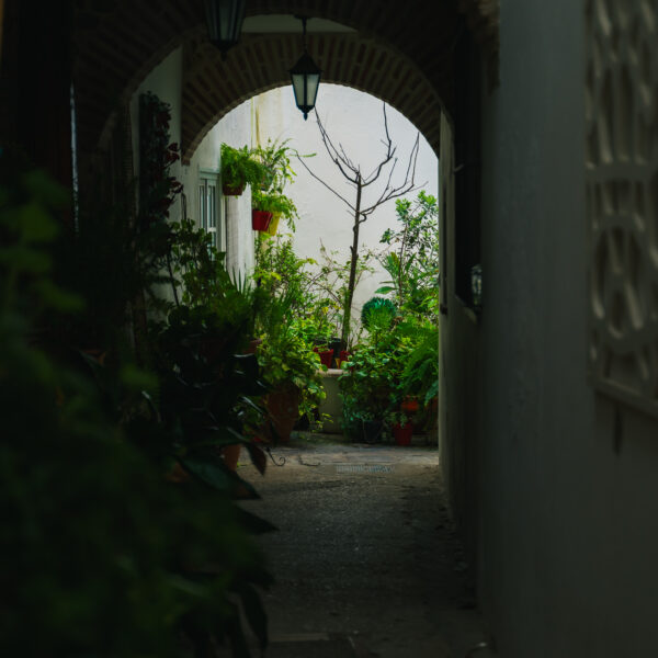 tamatam-andaluzia-23