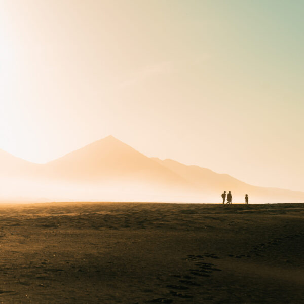 tamatam_kanare-blog--12