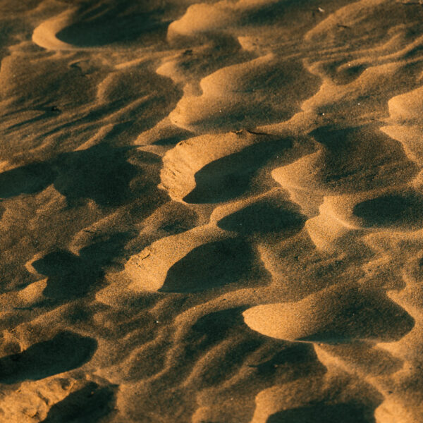 tamatam_kanare-blog--6