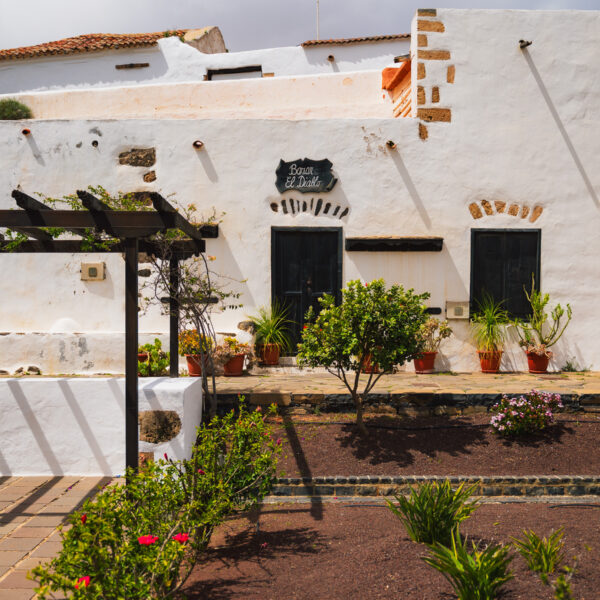 tamatam_kanare-blog-betancuria-2