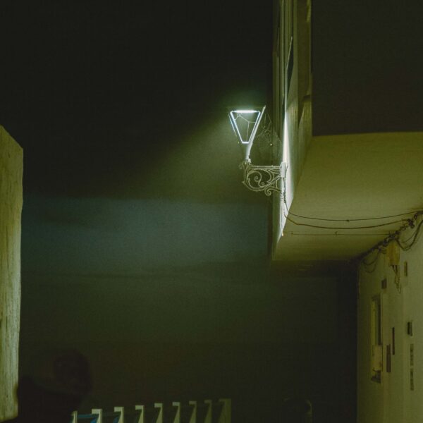 tamatam_kanarske-ftv--122