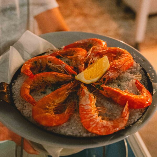 tamatam_kanarske-ftv--123