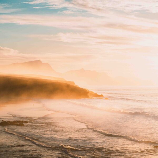 tamatam_kanarske-ftv--23