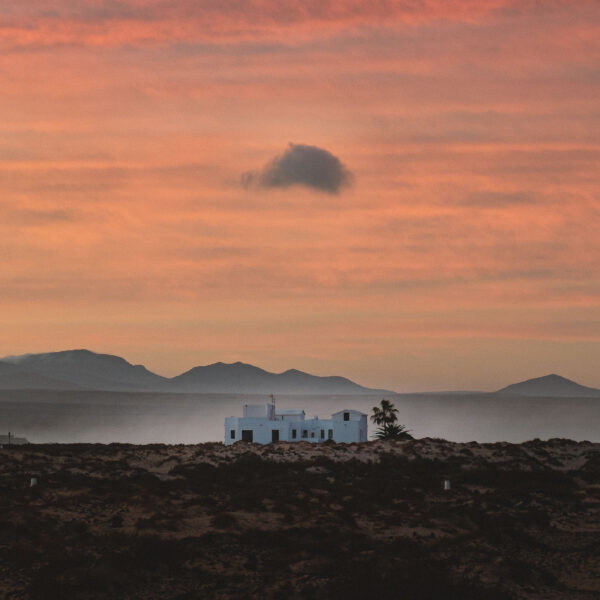 tamatam_kanarske-ftv--3