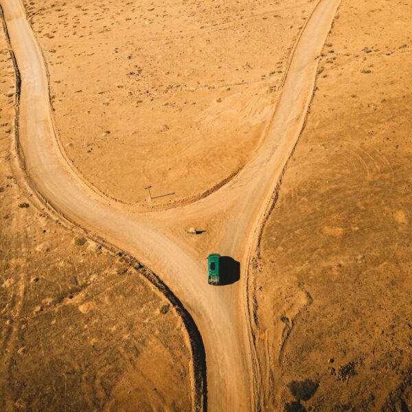 tamatam_kanarske-ftv--38