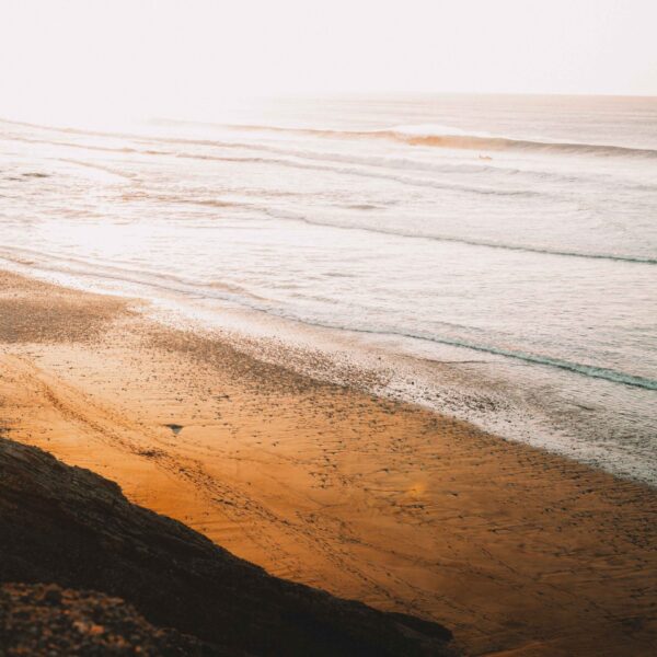 tamatam_kanarske-ftv--43