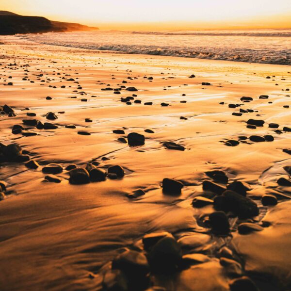 tamatam_kanarske-ftv--53