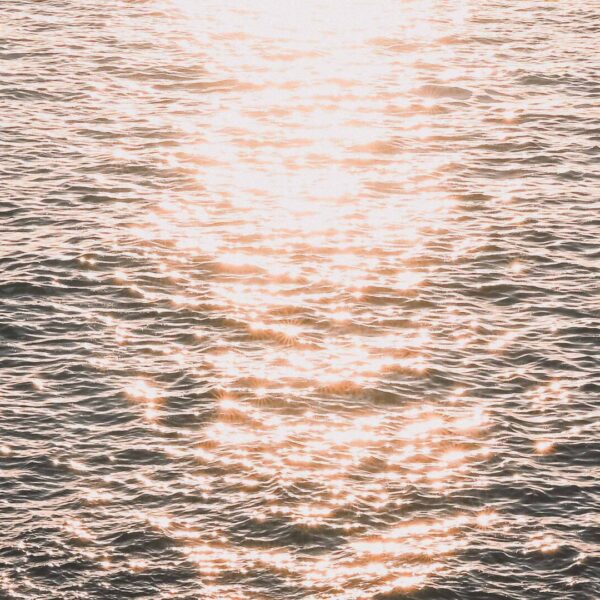 tamatam_kanarske-ftv--71