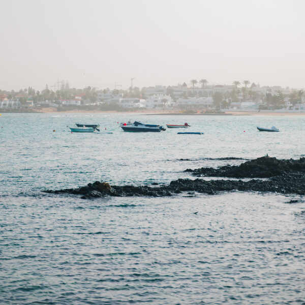 tamatam-sever-mesta-corralejo--6