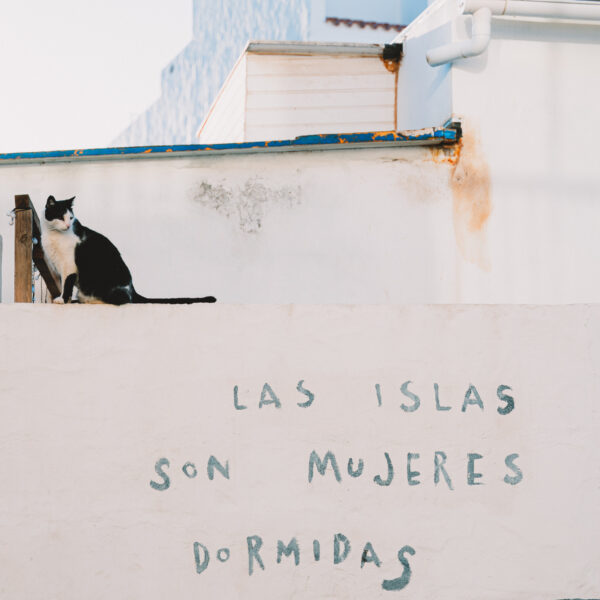 tamatam-sever-mesta-cotillo--12